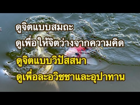 ทางอริยะEp40 วัตถุประสงค์ของการดูจิต 2 อย่าง ถ้าดูเป็นการปฏิบัติธรรมก็ก้าวหน้าเร็ว