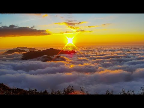 阿里山即時影像-二延平步道-日落-縮時 | Eryanping Trail Sunset Timelapse in Alishan, Taiwan