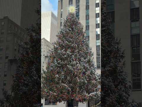 Nothing says Christmas like snow in NYC! ❄️🎅 #NYCWinter #HolidayMagic #SnowInTheCity#nyc#newyork