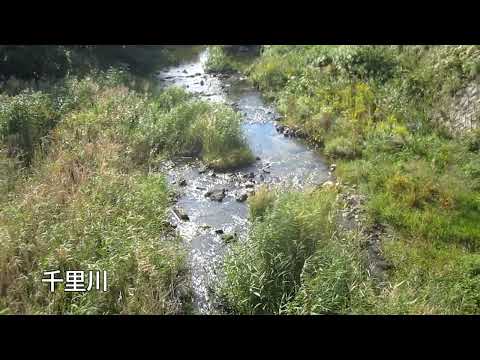 岡町駅から猪名寺駅まで歩く（前編）