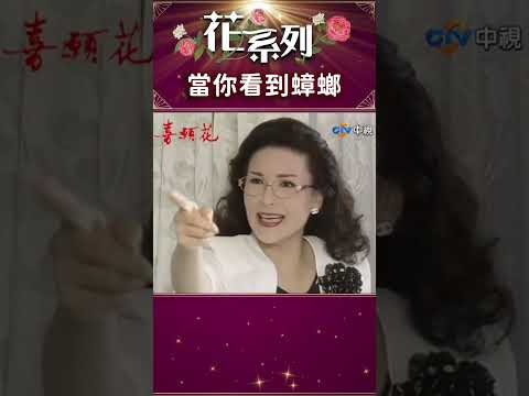 當你看到蟑螂的第一反應是？【花系列 #shorts】#花系列 #喜願花 #王淑娟 #李天柱 #陳莎莉 #李烈 #馮光榮 @ctvdrama_classic