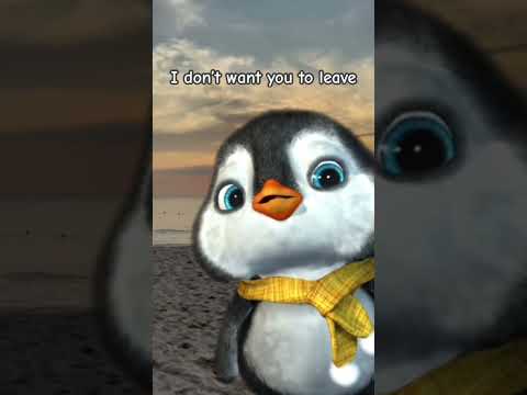 Do not leave! #dontgo #dontleave #dontleaveme #dontleavemealone #puffpuff #penguin