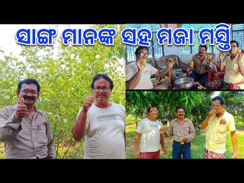 ସାଙ୍ଗ ମାନଙ୍କ ସହ ମଜା ମସ୍ତି@basanta_sir_kitchengarden#youtube#viral