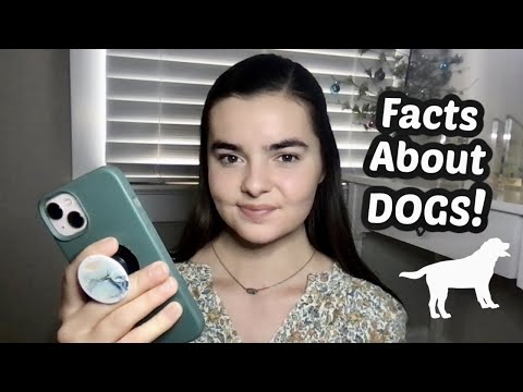 ASMR Whispering Super Interesting Facts About Dogs!