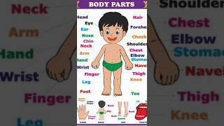 #Littlekidstv_24 #entertainment #cartoon #bodypartsnameforkids