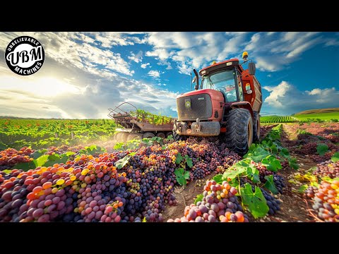 100 Modern Agriculture Machines That Are At Another Level ▶ 2