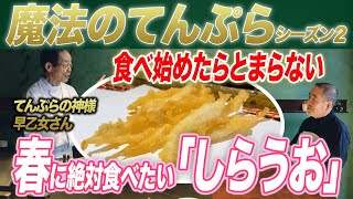 【みかわ魔法のてんぷらシーズン２】①春の食材 「しらうお」てんぷらの神様に聞いてみた（みかわ是山居）Japanese No.1 Magic #Tempura  #japanesefood