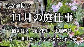 【11月の庭仕事】今が適期！落葉樹の植え替え・植え付け・土壌改良/春から初冬まで咲き続けた宿根草