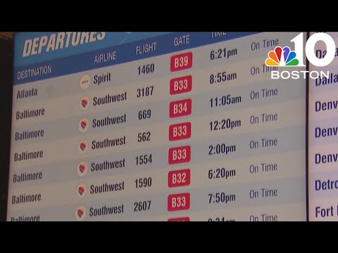 Frustration over temporary American Airlines flight grounding