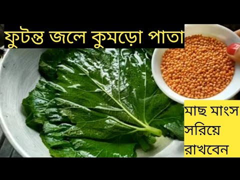 ফুটন্ত গরম জলে কুমড়ো পাতা দিয়ে মসুর ডালের সাথে এত সুস্বাদু রান্না দেখলে অবাক হবেন। Paturi Recipe.