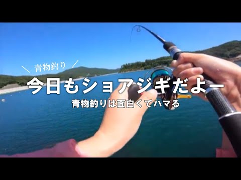 【青物堤防釣り】ライトショアジギングが面白過ぎる