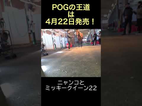 【POGの王道】ノーザンファームのニャンコとミッキークイーン22 #POG #POGの王道