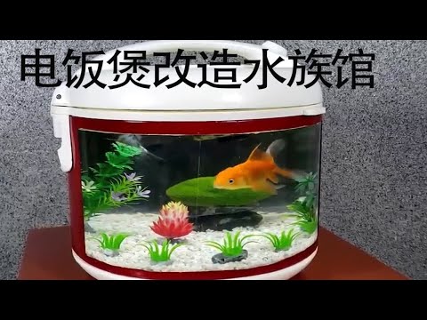 沉浸式打造水族馆，用电饭煲改造的你见过吗？简直是不可思议