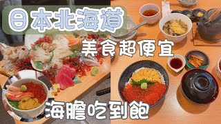 北海道自由行|麥鬧兄妹|飯店超美高cp值|最好吃海膽|推薦北海道必吃美食|函館朝市|Hokkaido|函館|北海道自駕