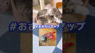 りっちゃんたちの『おさわりマップ』を作ってみた結果･･･🤣 #猫