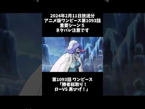 アニメ版ワンピース第1093話重要シーン5