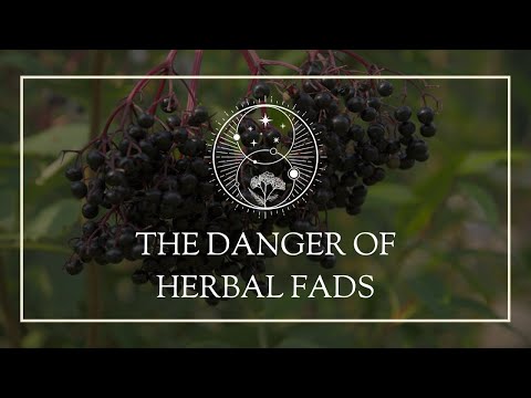 The Danger of Herbal Fads