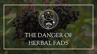 The Danger of Herbal Fads