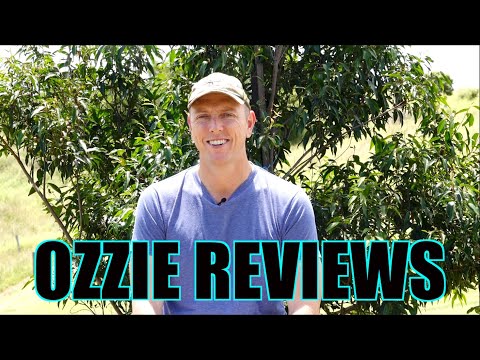 Ozzie Reviews Q & A - Episode #59 (what's new check it out!)