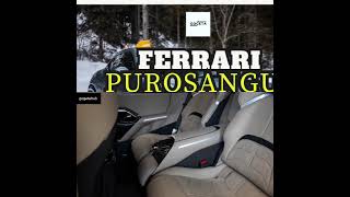 2024 Ferrari Purosangue  #shorts #autobild #bild #ferraripurosangue #motovlog #carweek