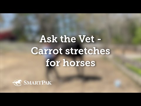 Ask the Vet - Carrot stretches for horses