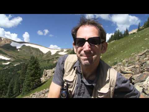 Rocky Mountain survey of pikas