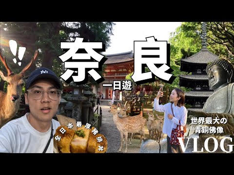 【奈良一日遊Vlog】超壯觀🤩奈良必訪景點！不只能餵鹿而已！療癒身心的知性之旅！世上最大青銅佛像！全日本最厚豬排丼！奈良公園/興福寺/東大寺/春日大社/若草山｜日本旅遊Traveling