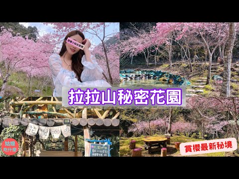 『姑嫂旅遊篇🌸拉拉山秘密花園』 - 最新賞櫻秘境，平日直接包場，假日不用人擠人