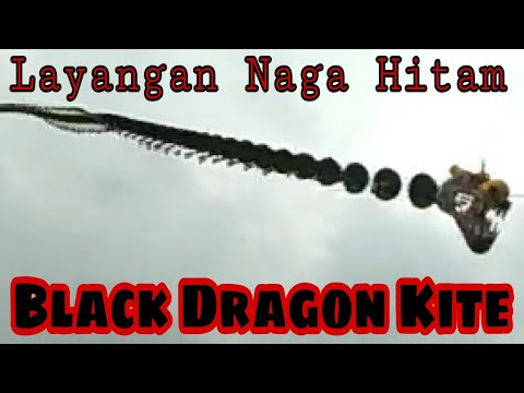 Black Dragon Kite | Layangan Naga Hitam #Shorts