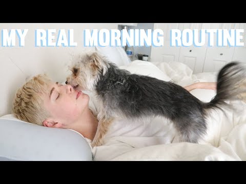 MY REAL MORNING ROUTINE