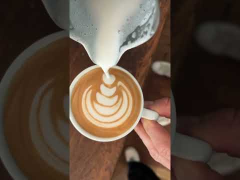 How to make latte art: Tulip & Swan