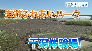 ムツゴロウになれる？！海遊ふれあいパーク「干潟体験場」 日本財団 海と日本PROJECT in 佐賀 2020 #18