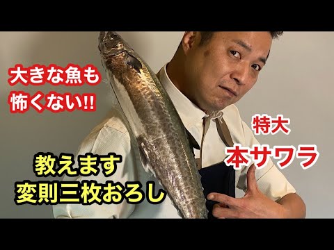 【鰆】見ればわかるサワラの変則三枚おろし!!