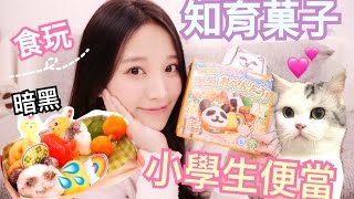 知育菓子🌸 什麼！暗黑熊貓小學生便當 🐼 食玩 | Snowbaby 瑞雪