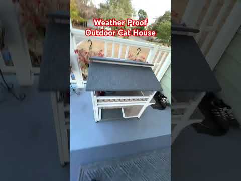 2-Story Outdoor Cat House with Balcony All Weather proof! #cathouse #catlover