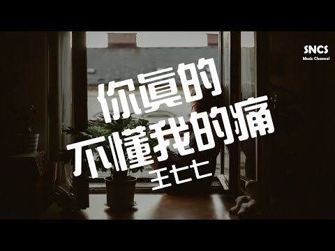 王七七 - 你真的不懂我的痛 【有些愛不可形容不能觸碰】 『高音質動態歌詞Lyrics』