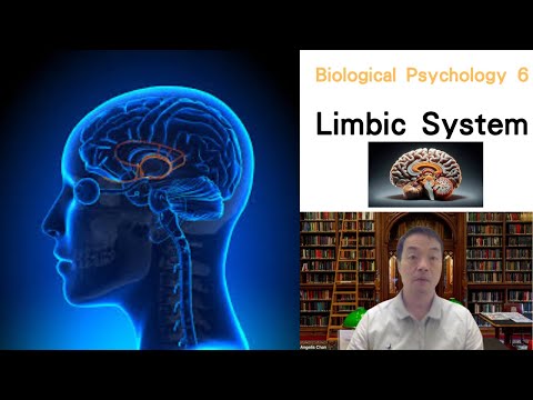 (Eng) Biological Psychology 06: Limbic System #limbicsystem #hippocampus #amygdala #hypothalamus