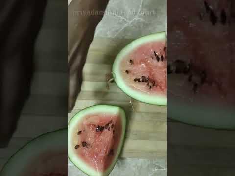 1st watermelon in this summer #watermelon #fruitcutting #fruits #summerfruit #melon #shorts #telugu