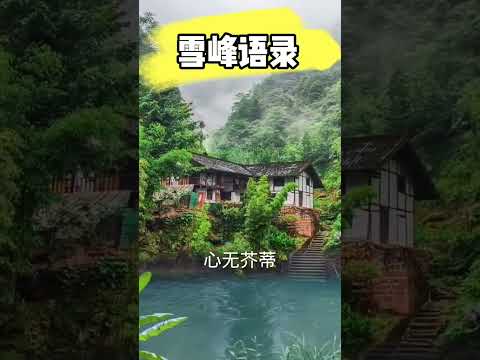 【雪峰语录】所遇困境，因果报应，道之安排，欣然领命，心无芥蒂，灵畅空明#第二家园 #雪峰#F币#天国银行