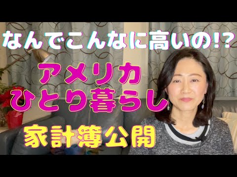 アメリカ都市部でおひとりさまの生活費: 異常な住居費と健康保険料