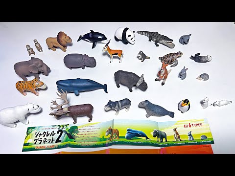 Sea Animals, Animals Collection - Whale, Orca, Crocodile, Lion, Tiger, Penguin, Reindeer, Polar Bear