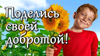 ♥~ С Днем Доброты! Поделись Добротой с друзьями! Красивое поздравление с Днем Доброты