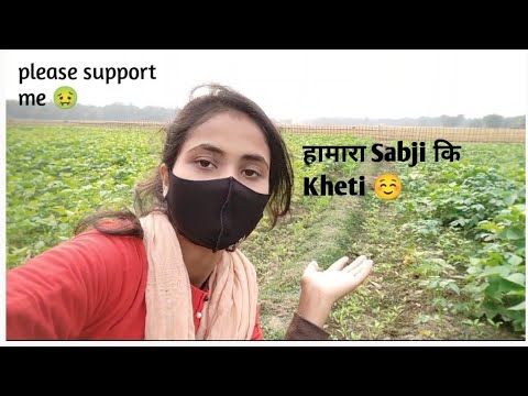 Hamari Sabji ki kheti ll🌾 ☺️Crazy Sana vlogs ll ❤️❤️