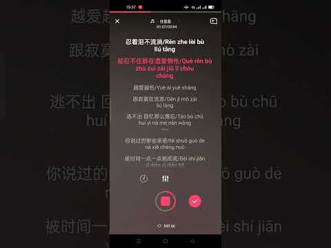 Càng yêu càng đau 越爱越伤 (Pinyin) karaoke 任盈盈