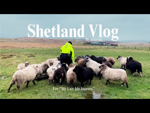 【Shetland Vlog】amirisu がシェットランドに行ってきました！