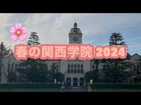 春の関西学院大学の様子  #桜 #関西学院大学