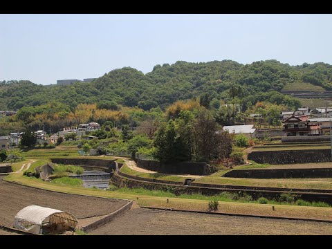 2022年 立夏の石内川堤/ Beautiful Dreamer （夢路より）