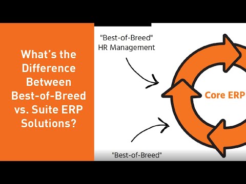 What's the Difference Between Best-of-Breed vs. Suite ERP Solutions?