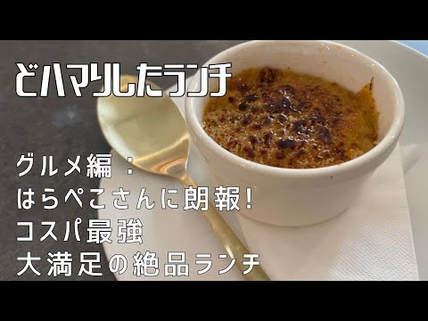 【グルメ編：はらぺこさんに朗報！コスパ最強大満足の絶品ランチ】〜 どハマりしたランチ 〜