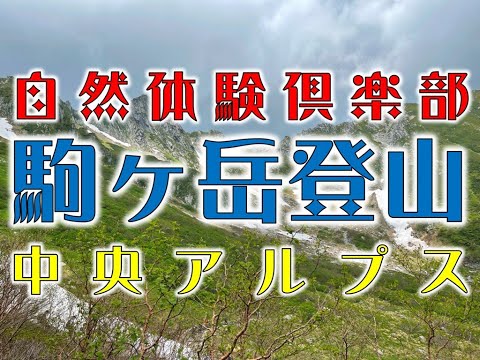 駒ヶ岳に登ってみました。